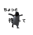 お返事ペンギン（個別スタンプ：13）