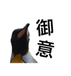 お返事ペンギン（個別スタンプ：14）