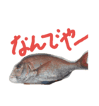 rirista3（個別スタンプ：9）