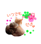 ドンノブボム③(Valentine)（個別スタンプ：6）