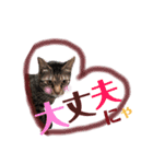 ドンノブボム③(Valentine)（個別スタンプ：14）