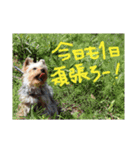 むぎの日常。（個別スタンプ：14）