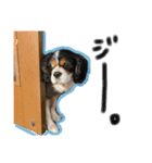 ティムベル2（個別スタンプ：3）