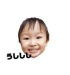 かんくん★よく使う言葉（個別スタンプ：8）