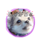 bokumenmakun（個別スタンプ：6）