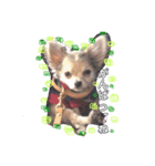 bokumenmakun（個別スタンプ：7）