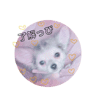 bokumenmakun（個別スタンプ：8）