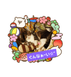 猫:いたずらにゃんこーず（個別スタンプ：18）
