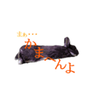 うさぎのぐりちゃん（個別スタンプ：2）