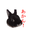 うさぎのぐりちゃん（個別スタンプ：8）