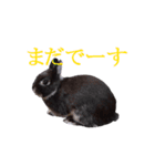 うさぎのぐりちゃん（個別スタンプ：14）