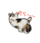 ねこ大好き！こう＆ふく！（個別スタンプ：3）