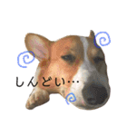 ロク スタンプ（個別スタンプ：7）