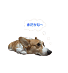 ロク スタンプ（個別スタンプ：11）