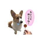 ロク スタンプ（個別スタンプ：21）