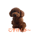 トイプーのモナちゃんスタンプ（個別スタンプ：18）