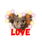 猫さんと一緒（個別スタンプ：3）