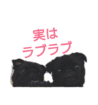 僕らのママゎあーたん（個別スタンプ：2）