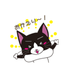 ハチワレはっちゃん（個別スタンプ：2）