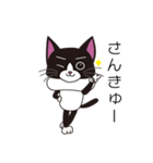 ハチワレはっちゃん（個別スタンプ：11）