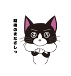 ハチワレはっちゃん（個別スタンプ：12）
