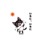 ハチワレはっちゃん（個別スタンプ：15）