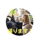 メルシー2（個別スタンプ：10）