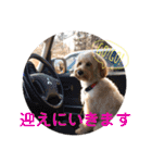 メルシー2（個別スタンプ：11）