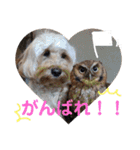 メルシー2（個別スタンプ：14）