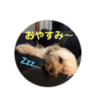 メルシー2（個別スタンプ：17）