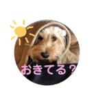 メルシー2（個別スタンプ：18）