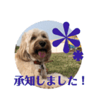 メルシー2（個別スタンプ：23）
