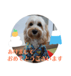 メルシー2（個別スタンプ：29）