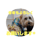 メルシー2（個別スタンプ：30）