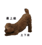 コタローの4（個別スタンプ：4）
