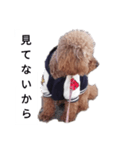 コタローの4（個別スタンプ：5）