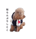 コタローの4（個別スタンプ：6）