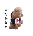 コタローの4（個別スタンプ：7）