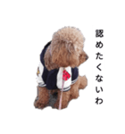 コタローの4（個別スタンプ：9）