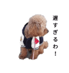 コタローの4（個別スタンプ：10）
