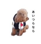 コタローの4（個別スタンプ：12）