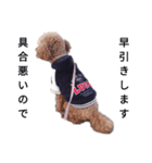 コタローの4（個別スタンプ：16）