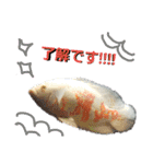 熱帯魚ちゃんたち♪（個別スタンプ：2）