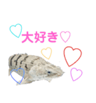 熱帯魚ちゃんたち♪（個別スタンプ：5）