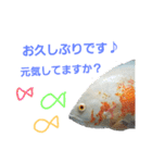 熱帯魚ちゃんたち♪（個別スタンプ：7）
