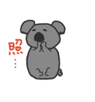 日常生活にコアラ（個別スタンプ：6）