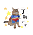 癒し系ねこの日常スタンプ 1（個別スタンプ：18）