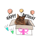 癒し系ねこの日常スタンプ 1（個別スタンプ：33）