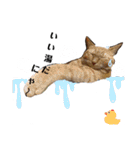 和菓子ねこちゃんズ（個別スタンプ：4）