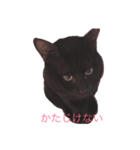 武士語にゃんこ（個別スタンプ：5）